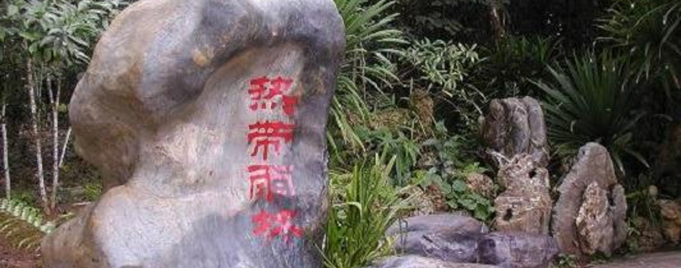 中科院西雙版納熱帶植物園  第3張