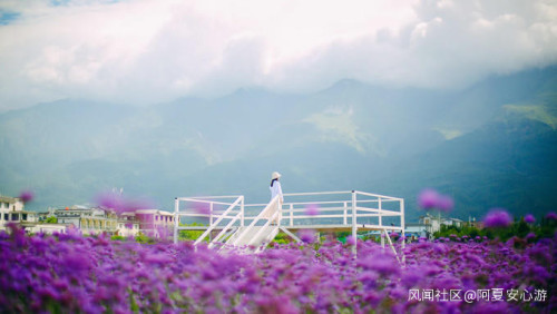 云南旅游攻略必去景點順序，云南旅游這些必去景點都去過嗎？_游云南網  第4張