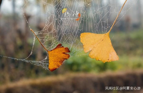 騰沖銀杏村幾月份去最好？云南騰沖有什么旅游景點？_游云南網(wǎng)  第7張