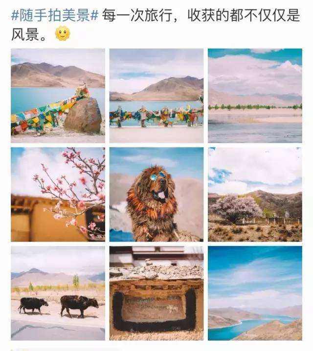 云南當地旅行社,云南靠譜旅行社  第2張