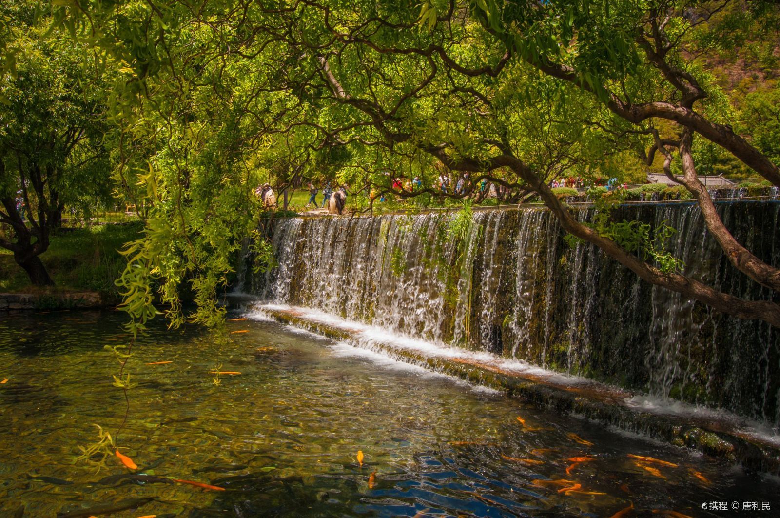 昆明西山森林公園好玩嗎？西山怎么樣