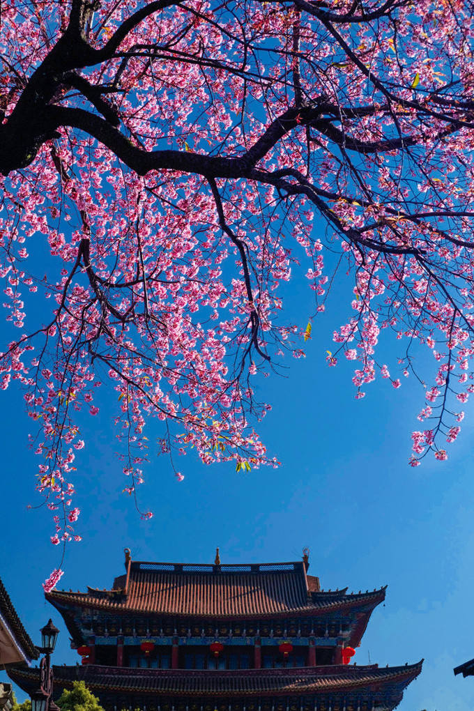 七月昆明行——羅漢寺美景