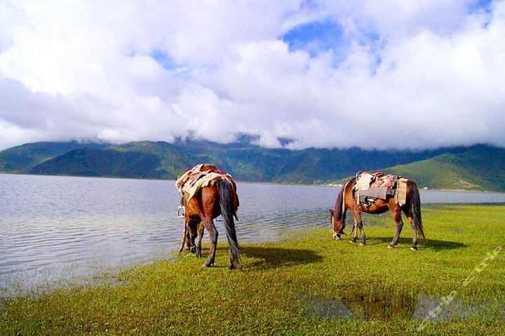 大理麗江香格里拉神話(huà)春季旅游指南