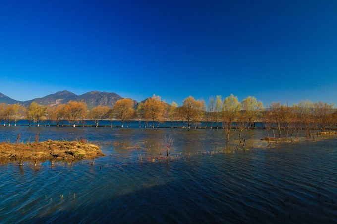 觀賞蝴蝶泉，欣賞大理美景