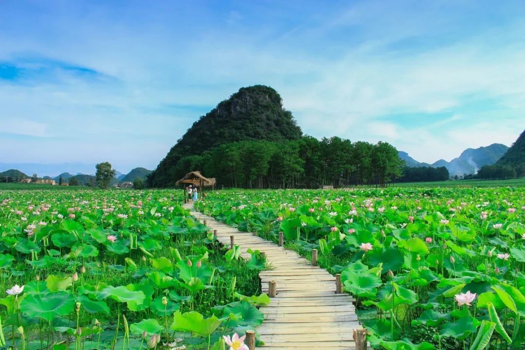 云南大理之旅——云南大理之旅