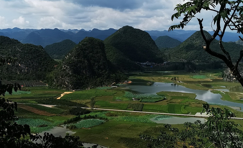 春節去云南旅游，去網上名人景點打卡