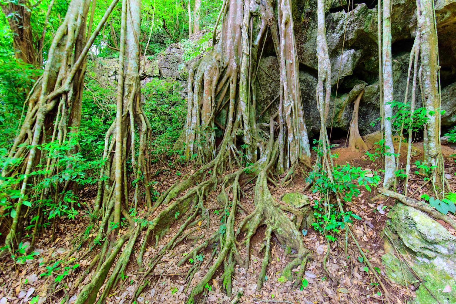 麗江瀘沽湖旅游團購-如何安排Lu沽湖三日游？