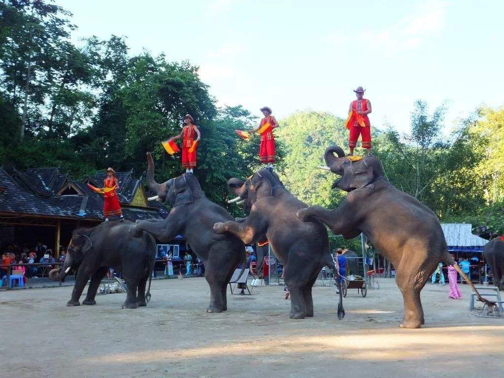 麗江旅游順序-麗江約10天的旅游路線和策略